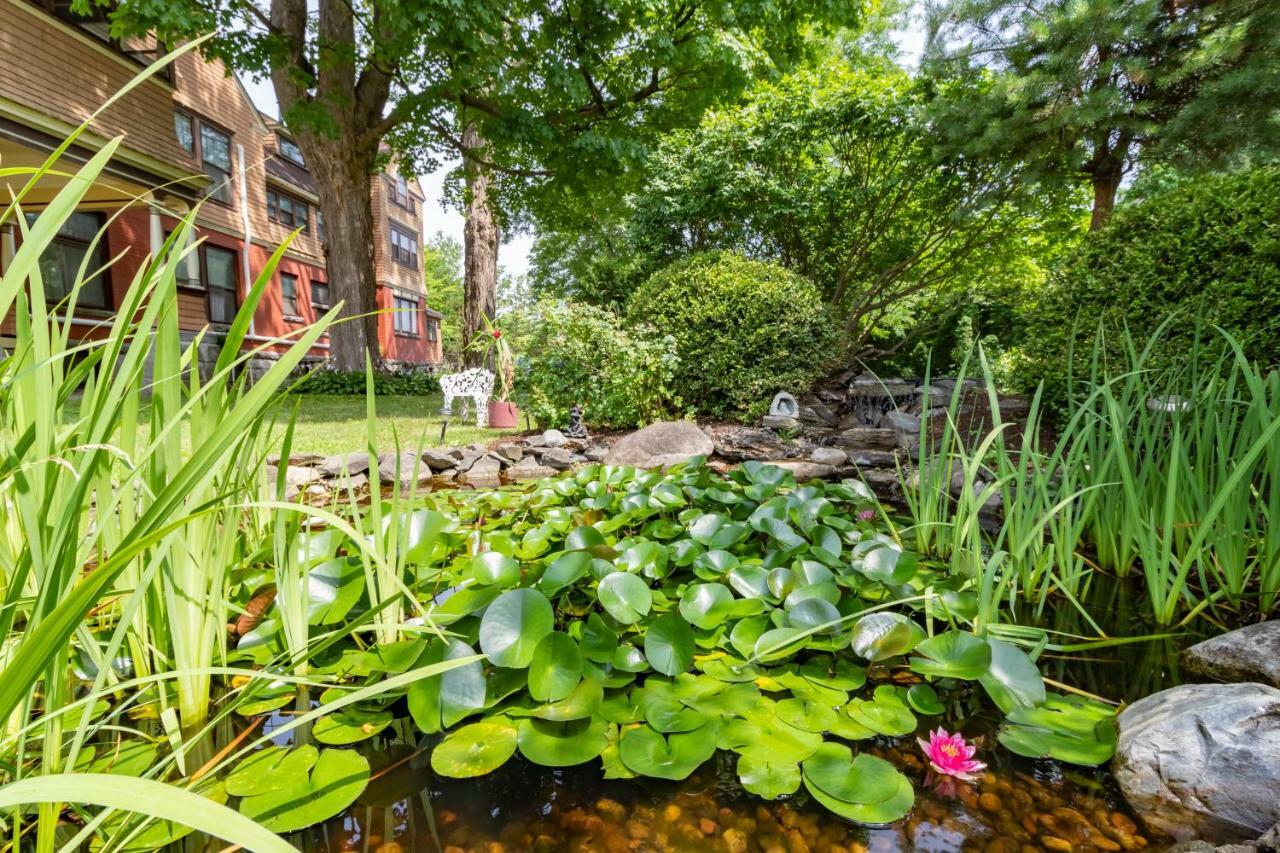 ساراتوغا سبرينغس، نيويورك Saratoga Dreams Bed And Breakfast المظهر الخارجي الصورة